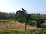 Wickstead Jump16